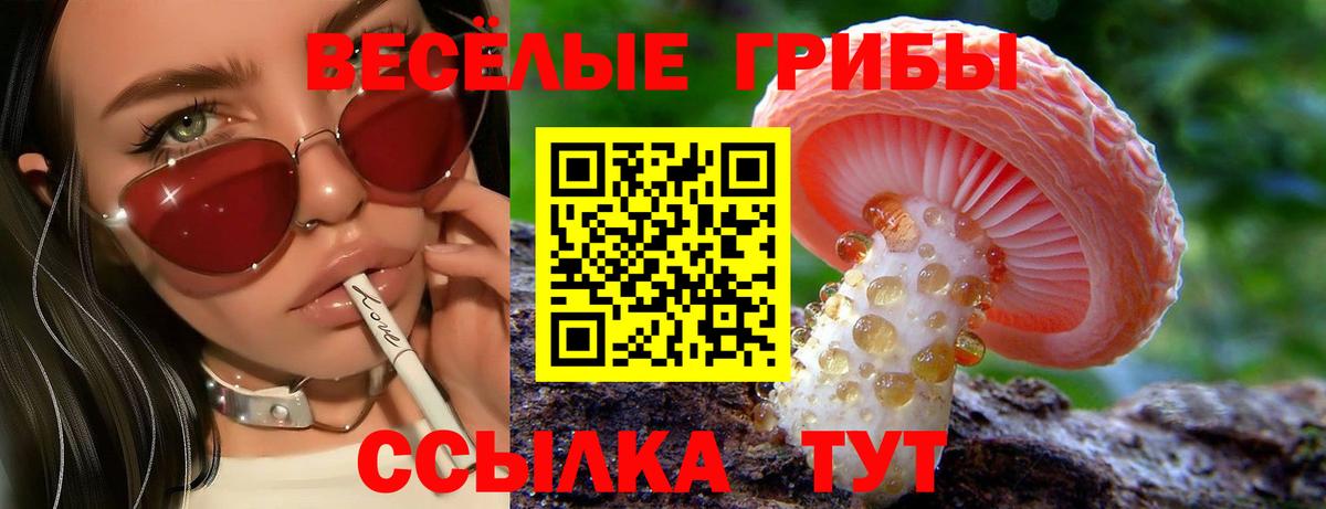 Галлюциногенные грибы Cubensis  Псилоцибиновые грибы Psilocybe  Вход с VPN  Мытищи 